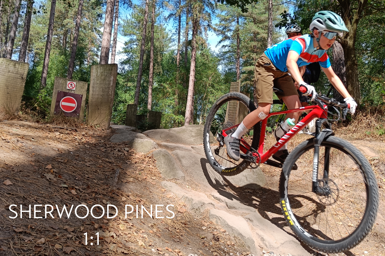 Special Sherwood Pines 1:1